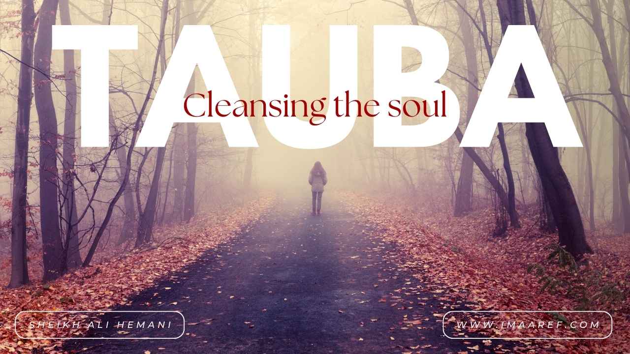 Tauba – Cleansing of the Soul